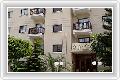  5  Anemi Apart